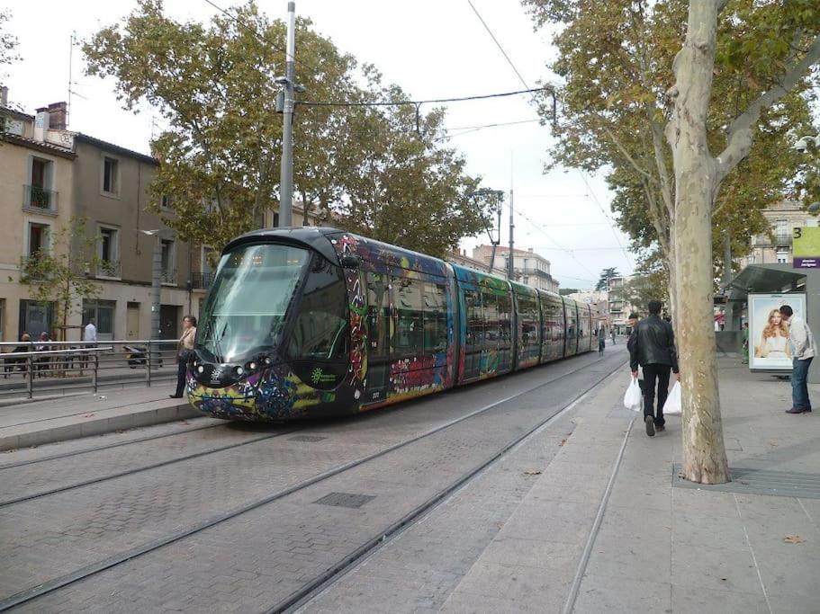 Artistic Loft, Downtown Montpellier, Wifi公寓 外观 照片